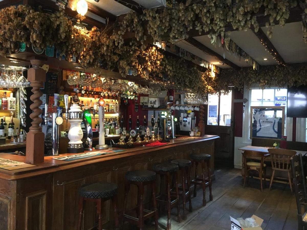 Tiger 4* Bridport