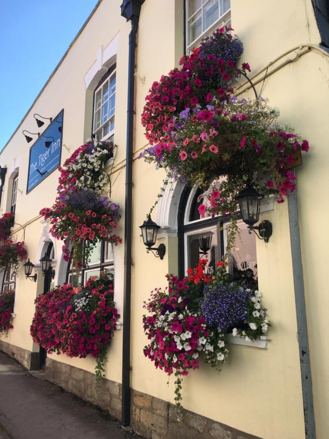 Herberg Tiger Bridport